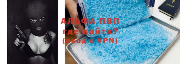 индика Киреевск