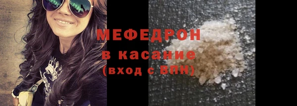 индика Киреевск