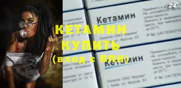 индика Киреевск