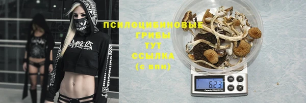 индика Киреевск