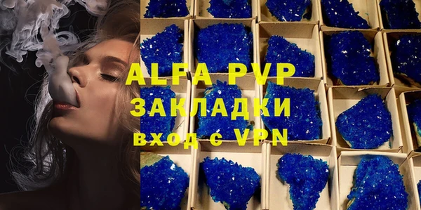 индика Киреевск