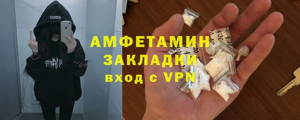 индика Киреевск