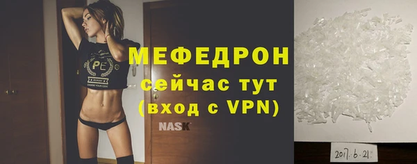 индика Киреевск