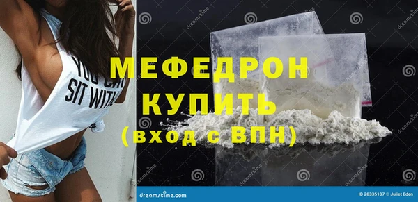 индика Киреевск