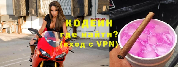индика Киреевск