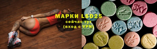 индика Киреевск
